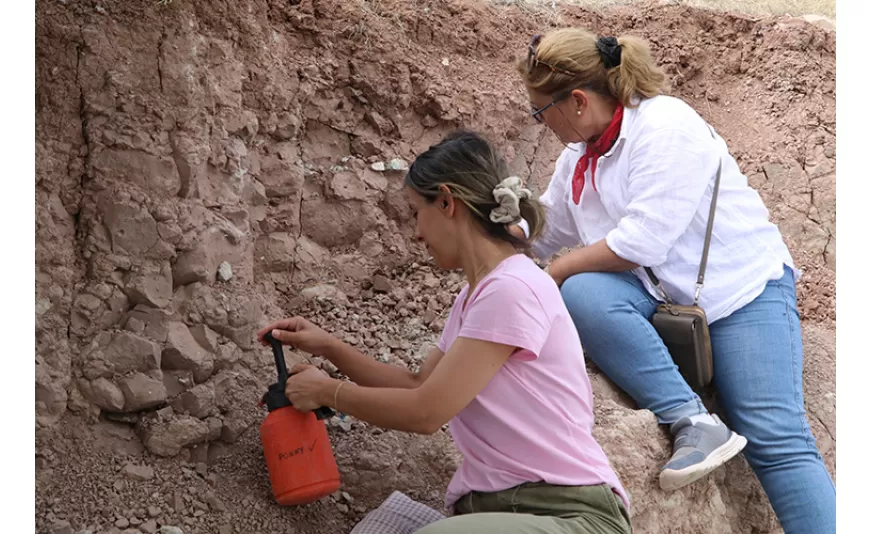 Çorakyerler kazısında bu sezon çok sayıda zürafa, fil ve gergedan fosili ortaya çıkarıldı