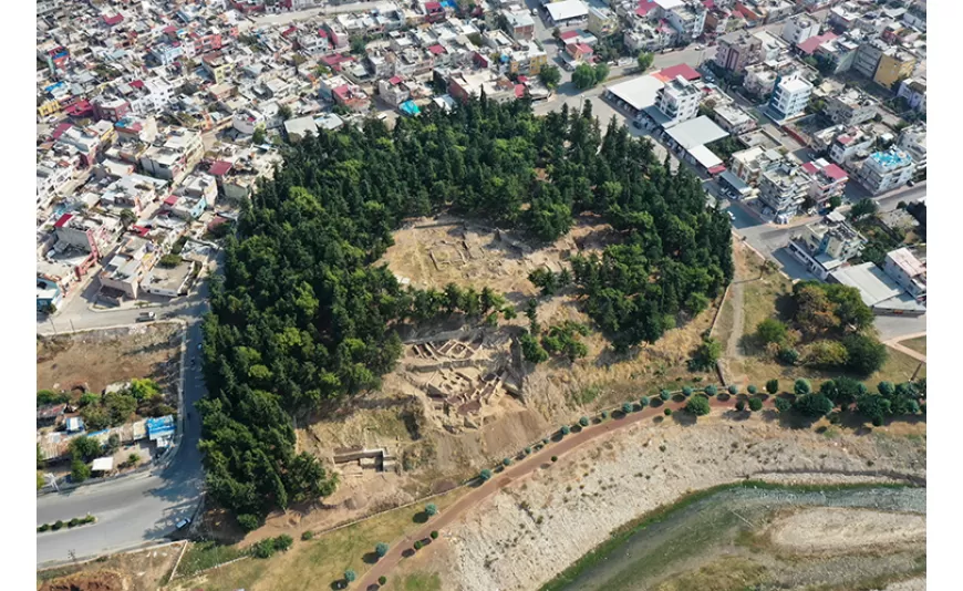 Yumuktepe Höyüğü'nde 9 Bin Yıllık Buğday Türleri Keşfedildi