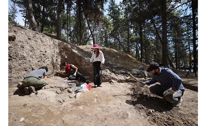 Yumuktepe Höyüğü'nde 9 Bin Yıllık Buğday Türleri Keşfedildi