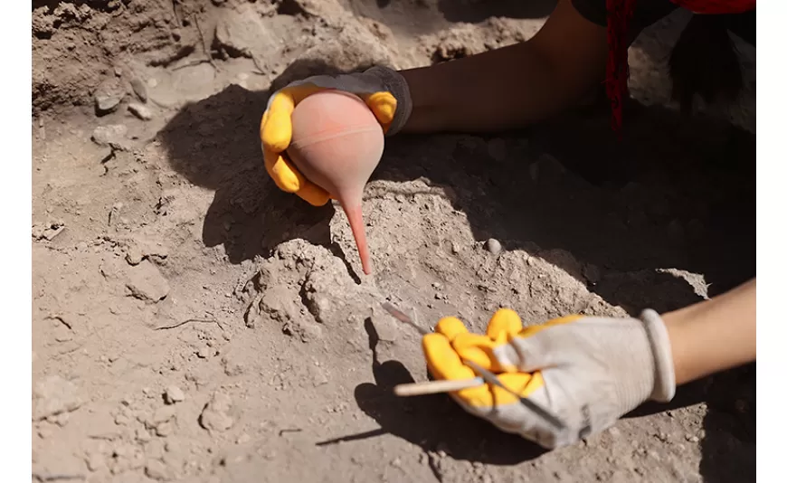 Yumuktepe Höyüğü'nde 9 Bin Yıllık Buğday Türleri Keşfedildi