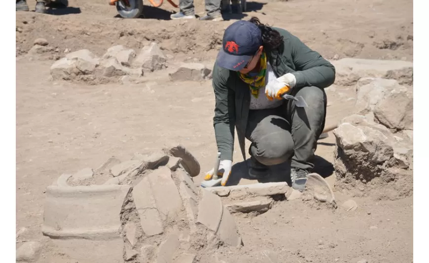 Yassı Höyük'te 2 bin 800 yıllık nohut, buğday, kayısı çekirdeği, üzüm ve sarımsak taneleri bulundu