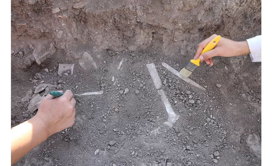 Domuztepe Höyüğü'nde 7 bin 600 yıllık çocuk ve bebek iskeletleri bulundu